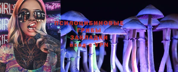 бошки Абинск