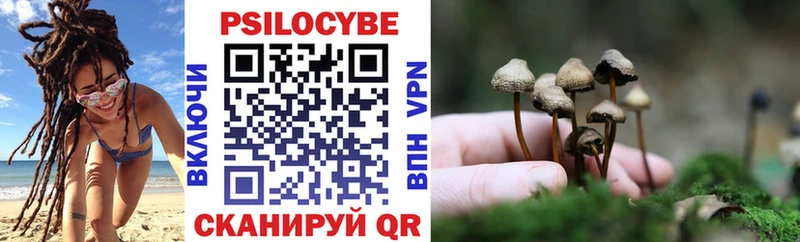даркнет сайт  Дербент  это как зайти  Псилоцибиновые грибы Cubensis 